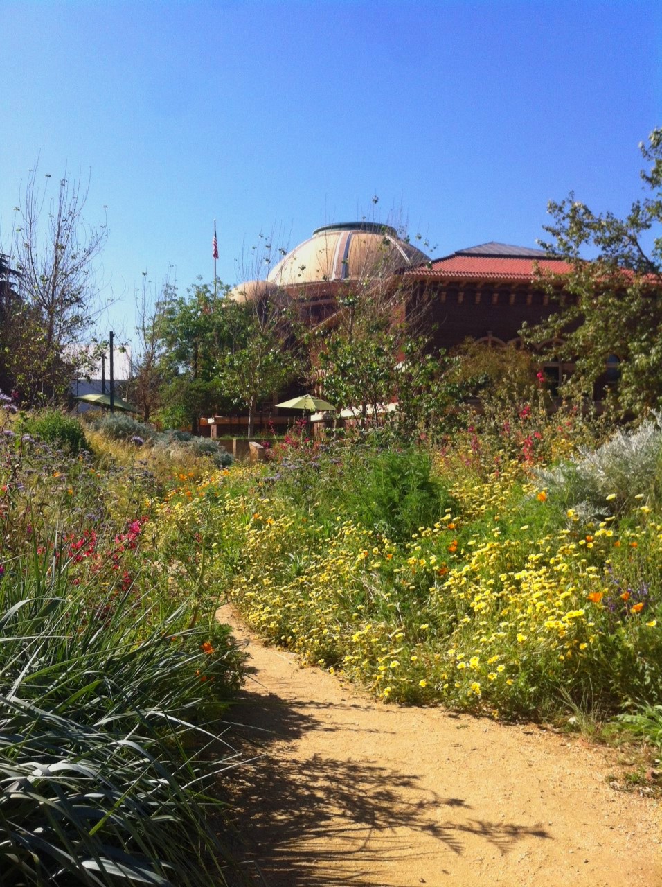 NHM Gardens