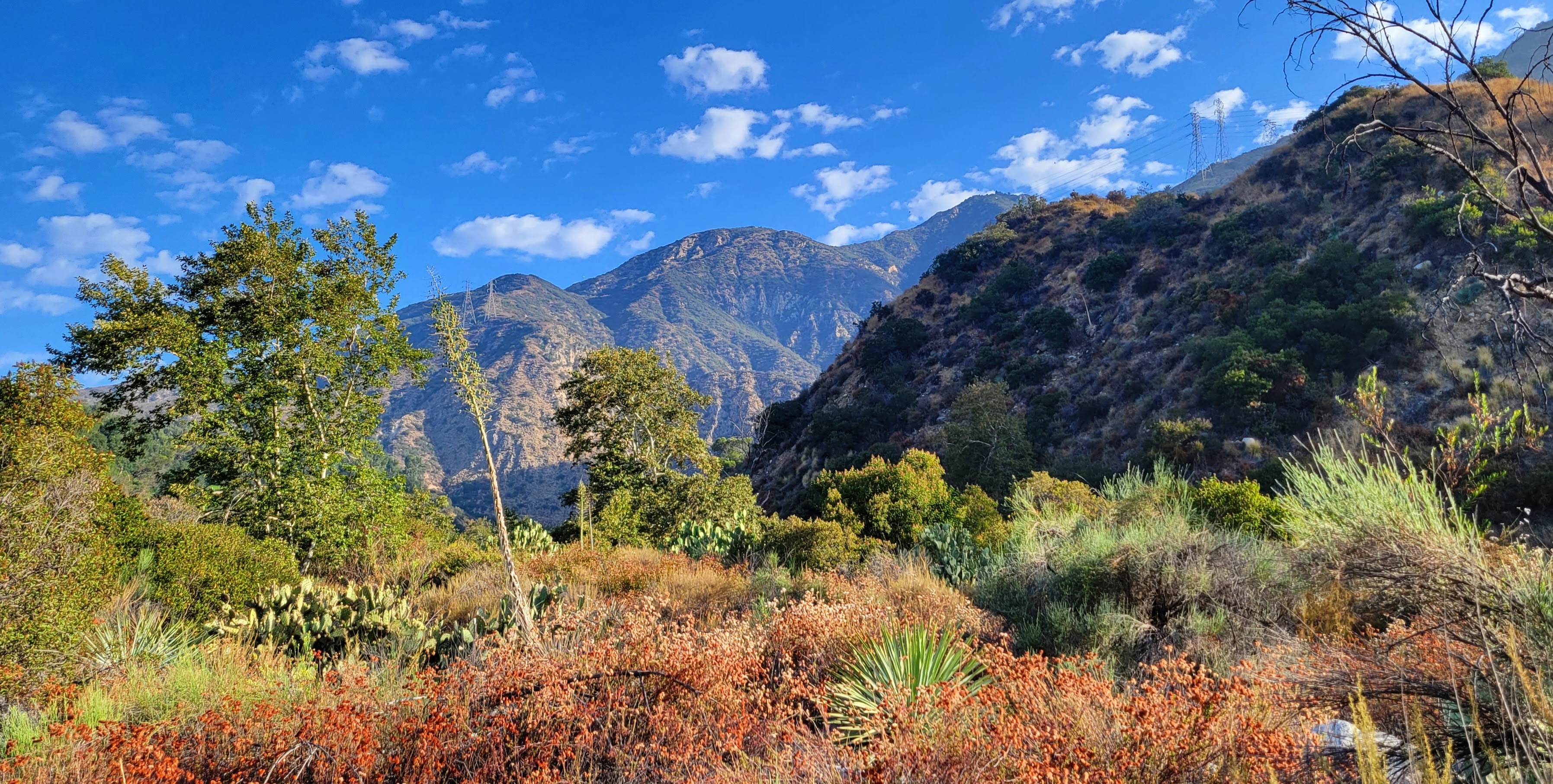 Eaton Canyon