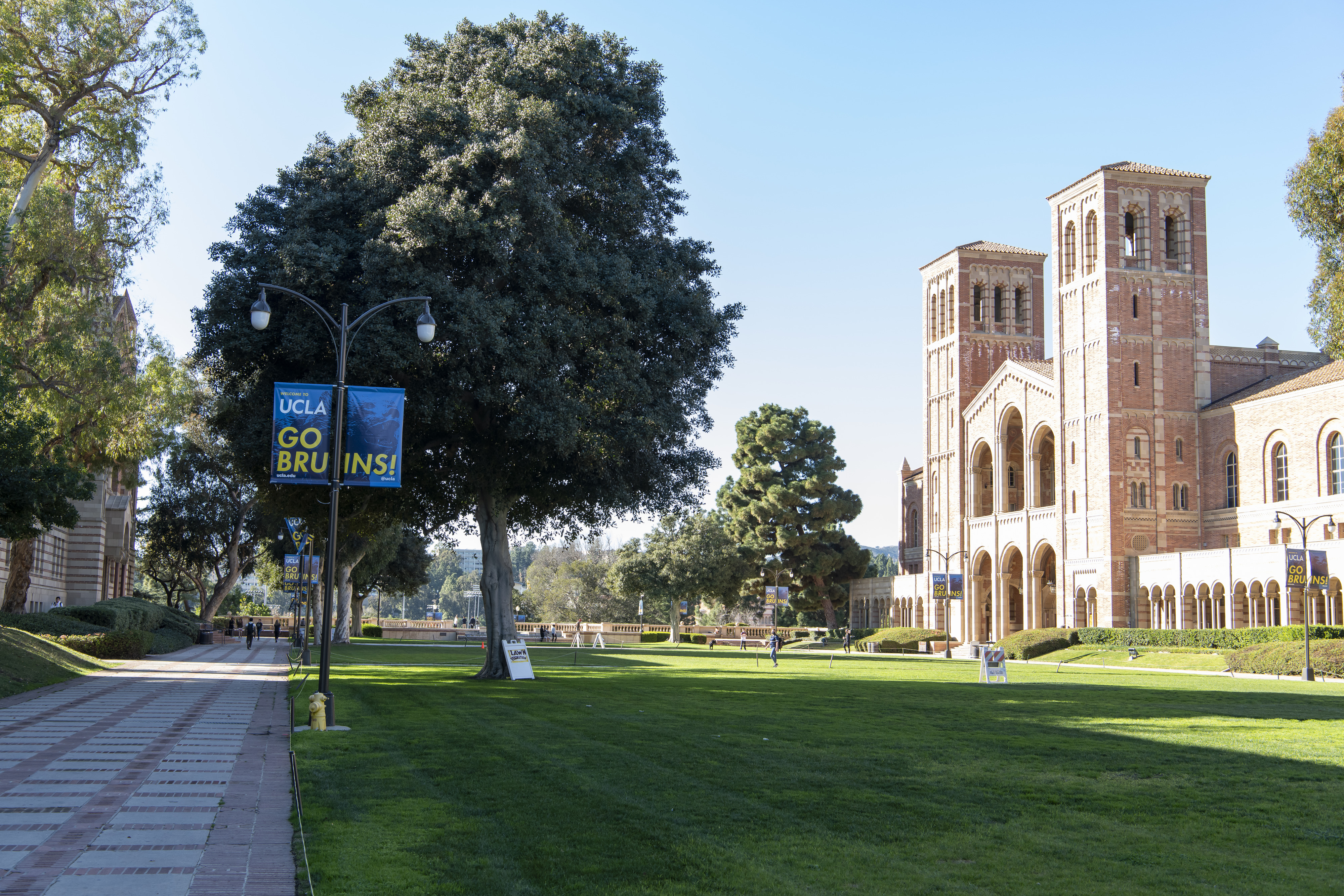 UCLA