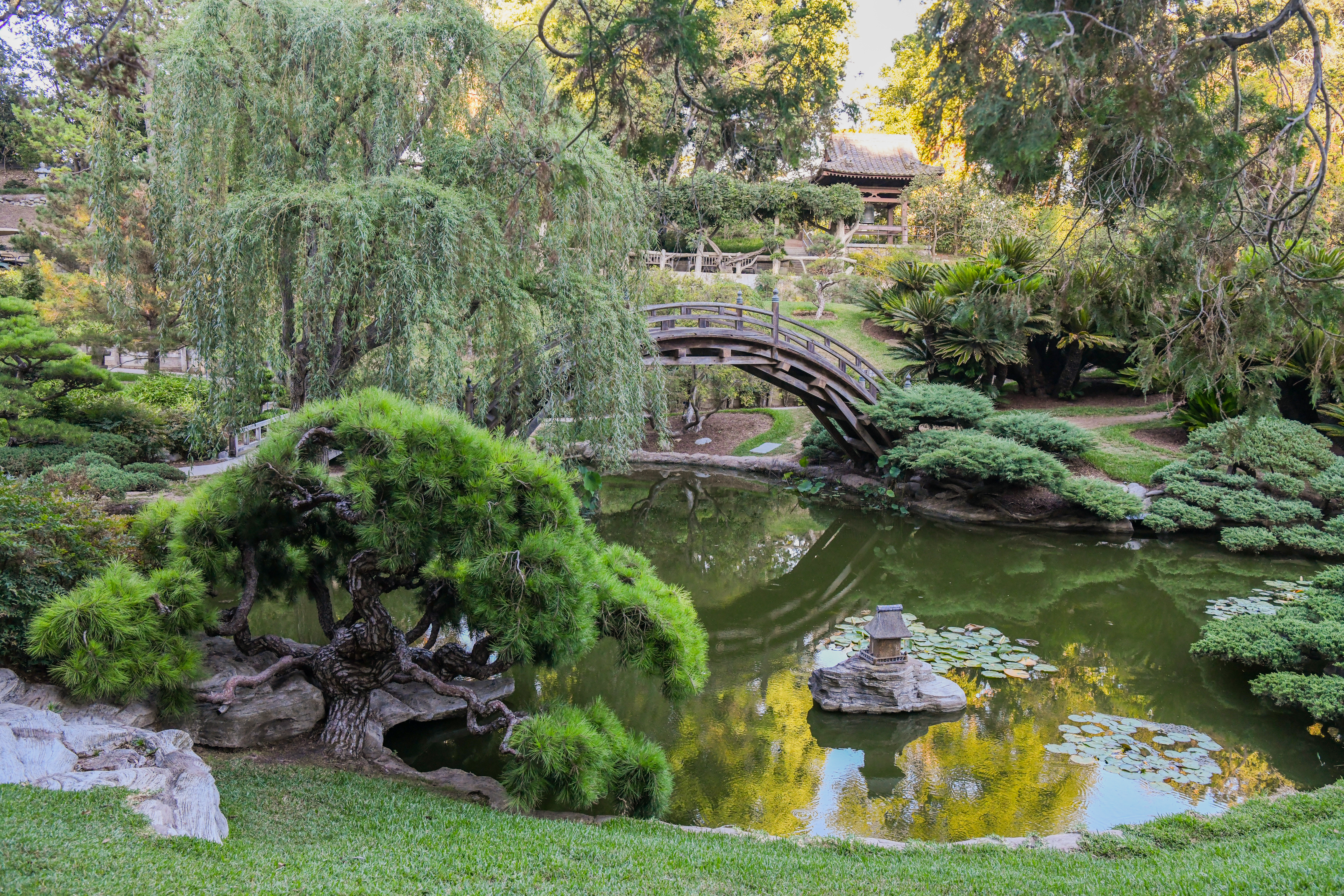 Japanese Garden