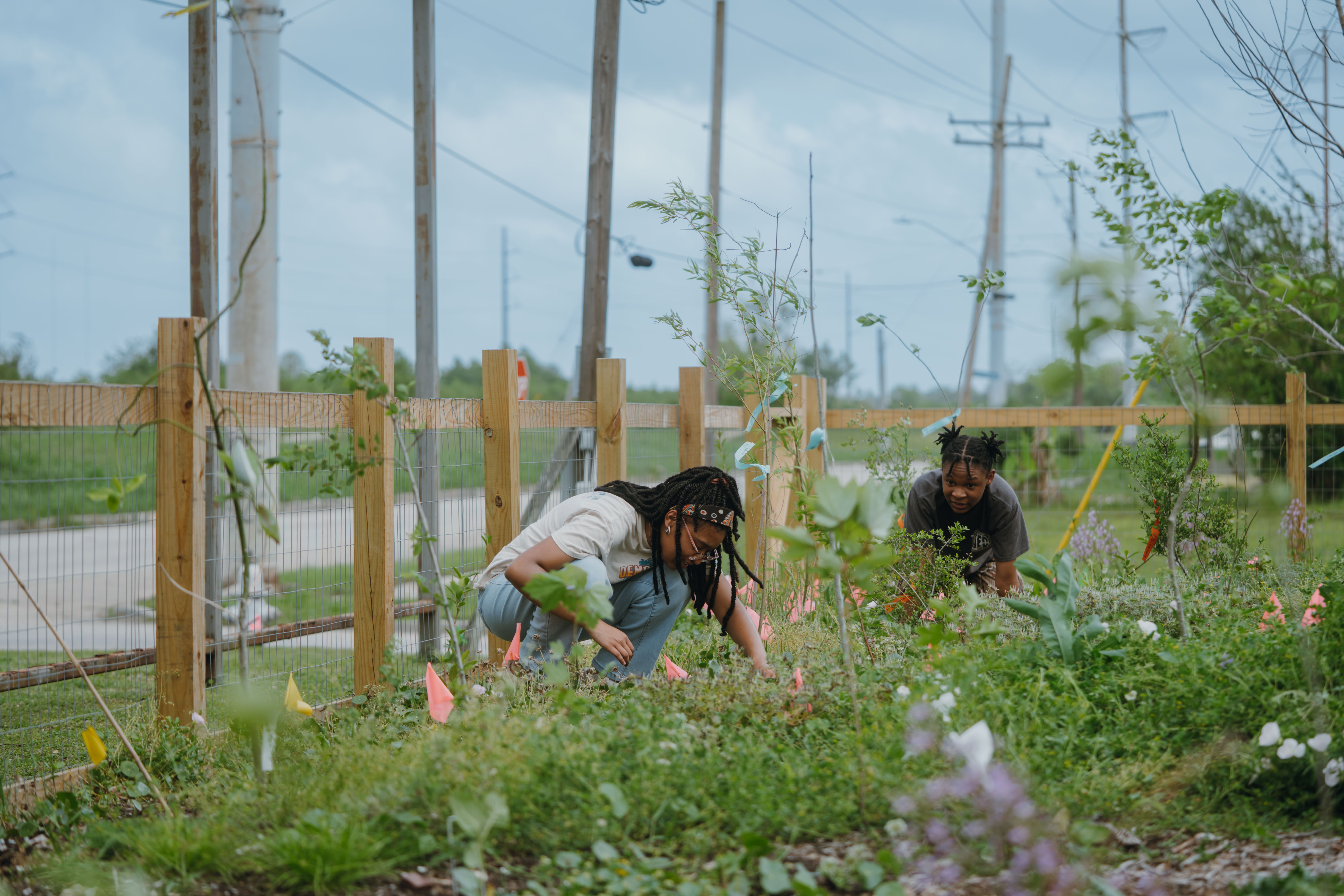 Miyawaki Microforest, New Orleans