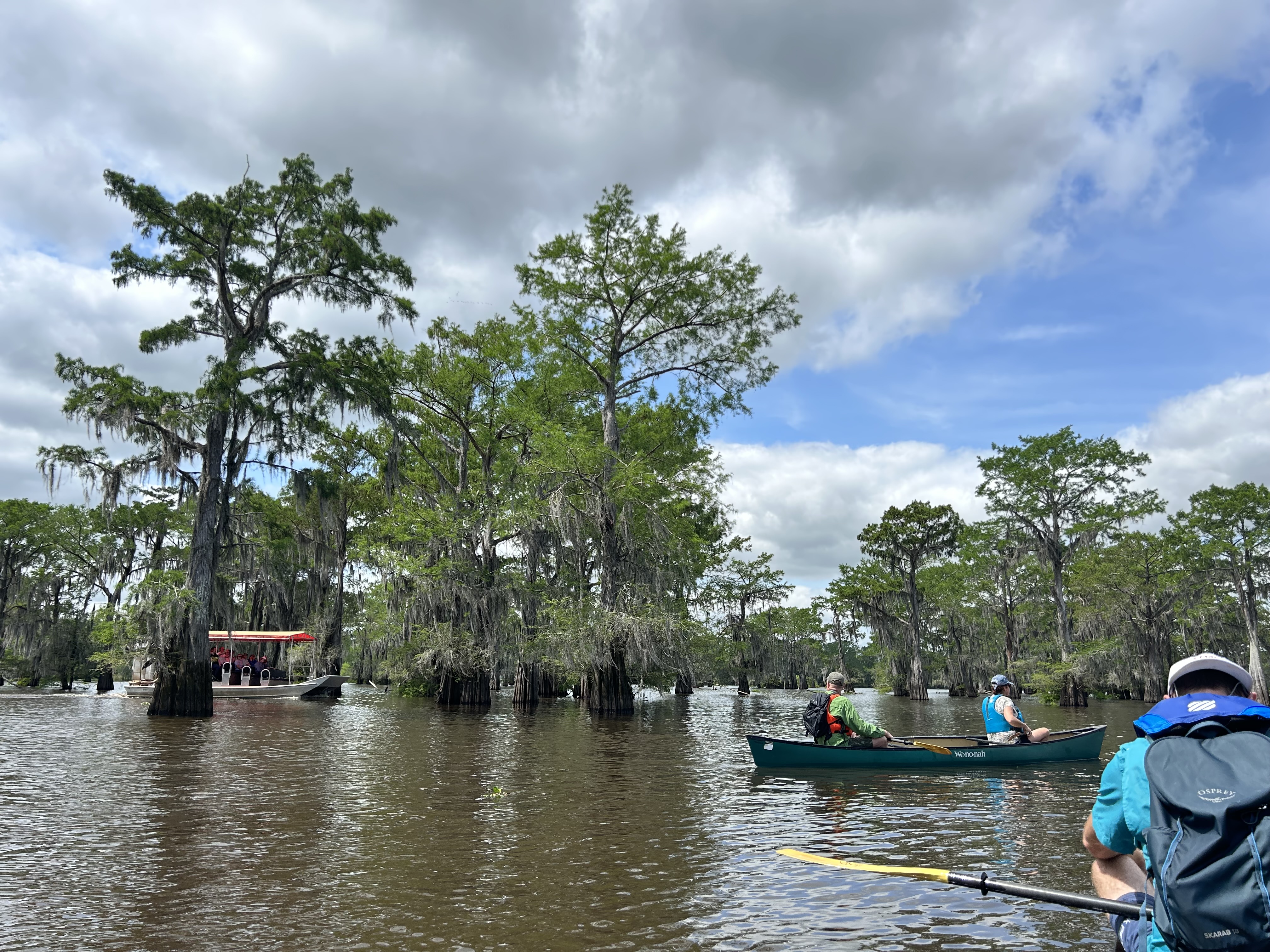 Atchafalaya Basin