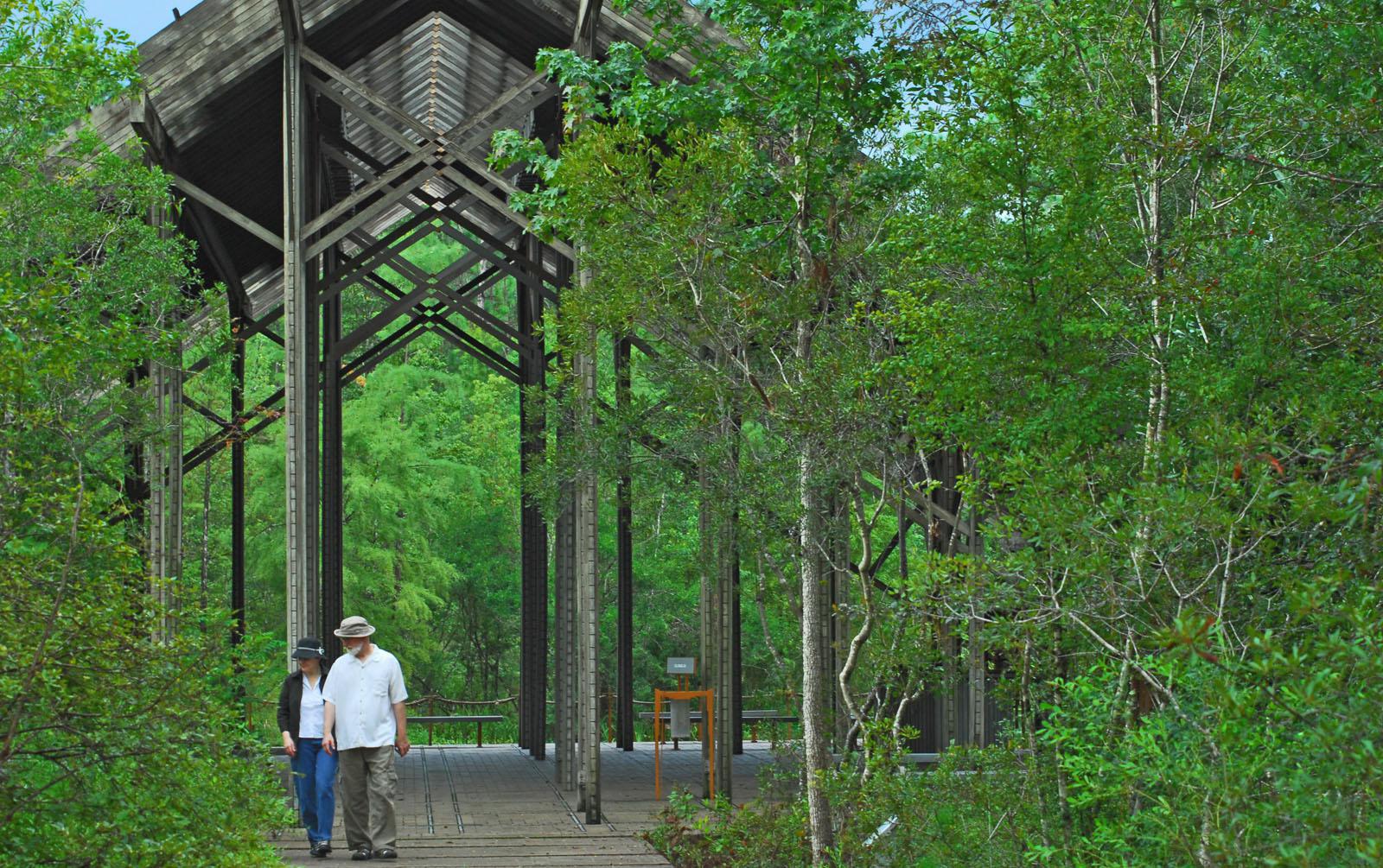 Crosby Arboretum